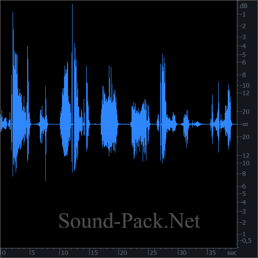 waveform