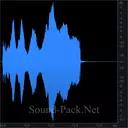 Сирена полицейской машины (4)