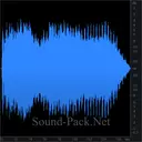 Сирена полицейской машины (5)