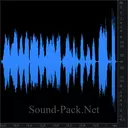 Полицейская рация: разговор (англ.)