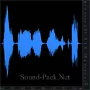 Женский голос по рации (5)