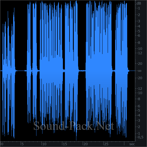 waveform