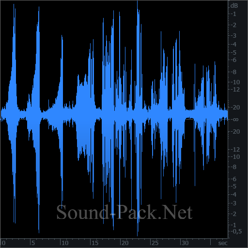 waveform