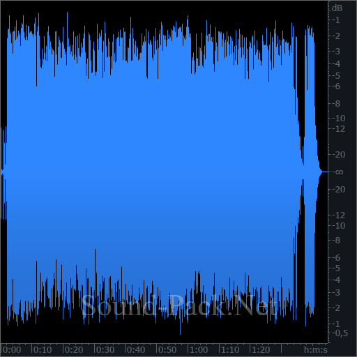 waveform