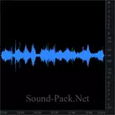 Чайки на фоне прибоя