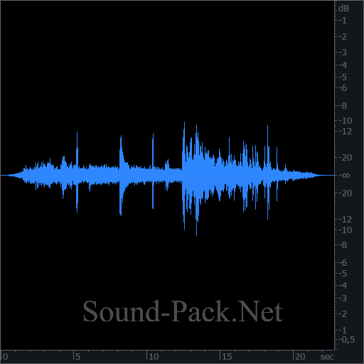 waveform