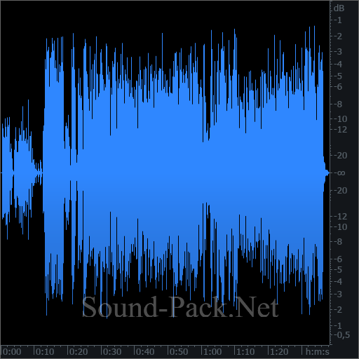 waveform