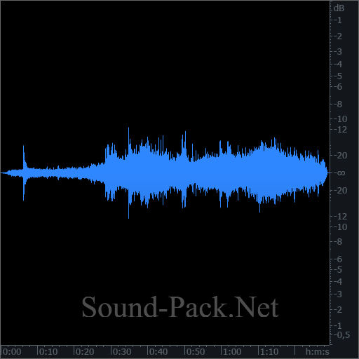 waveform