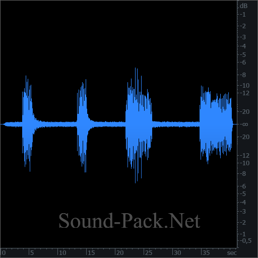 waveform