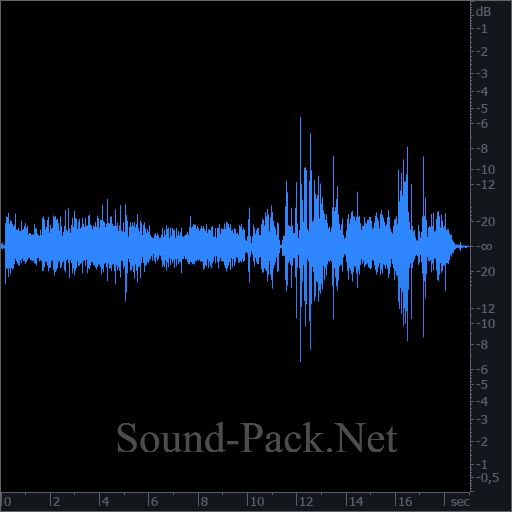 waveform