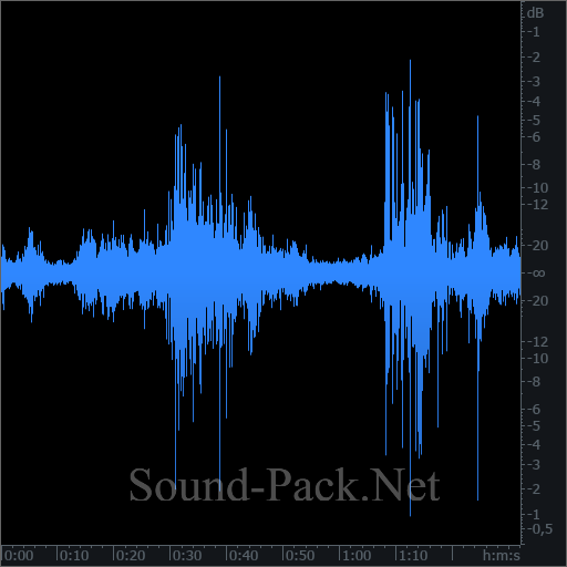 waveform