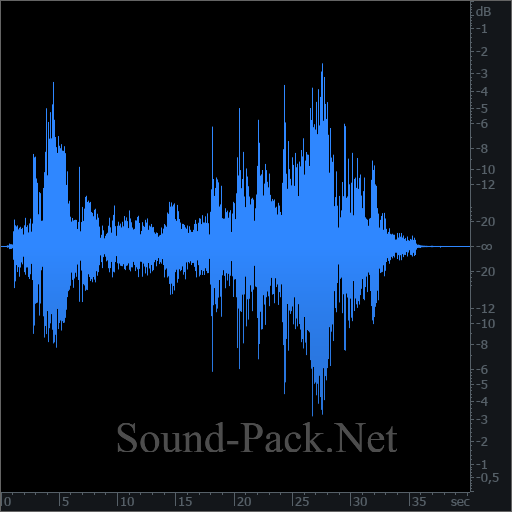 waveform