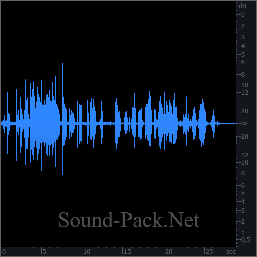 waveform