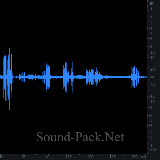 waveform