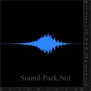 Полицейская машина с сиреной проезжает мимо (2)