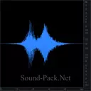 S.W.A.T: полицейский вертолет и автомобили с сиреной