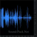 Сорока (Pica pica)