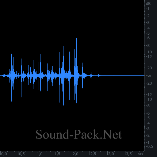 waveform