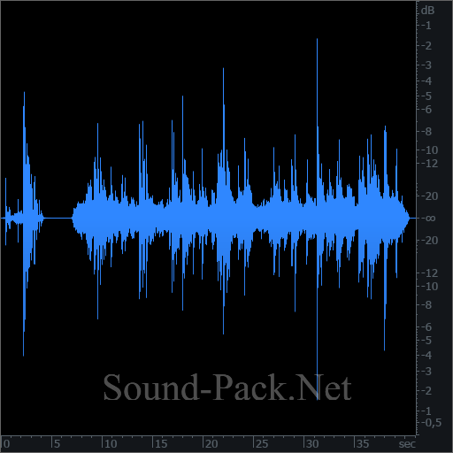 waveform