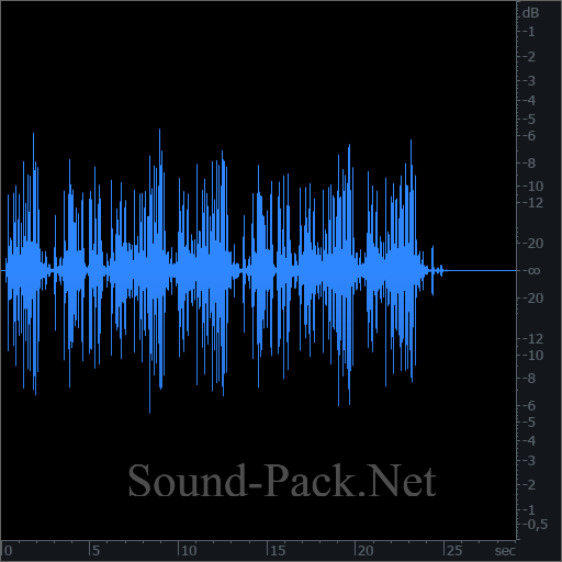 waveform