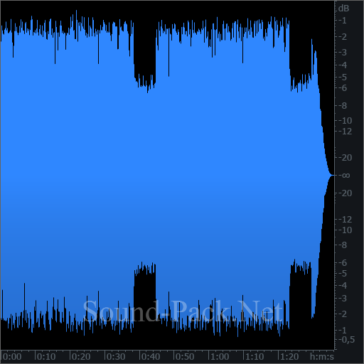 waveform