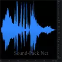Сообщение WhatsApp Message