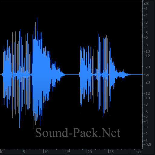 waveform