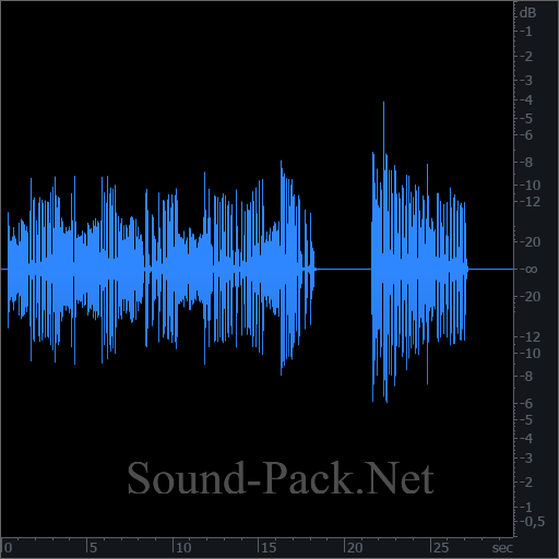 waveform