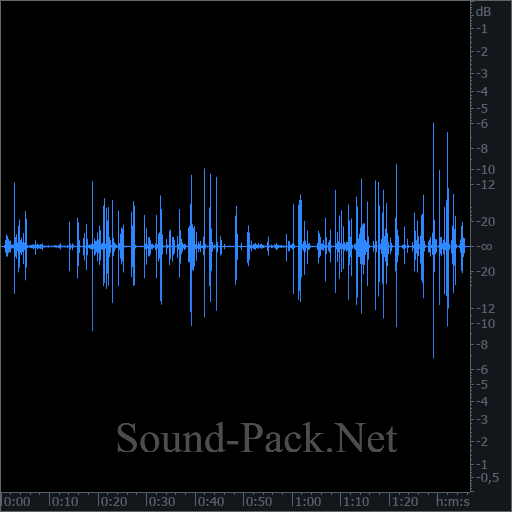 waveform