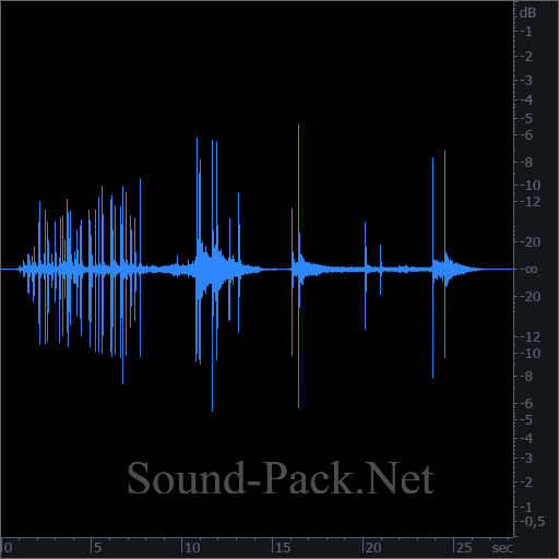 waveform