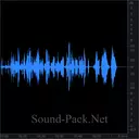 В зоопарке: шимпанзе, зебры, слоны, носорог, медведь