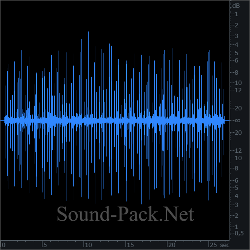 waveform