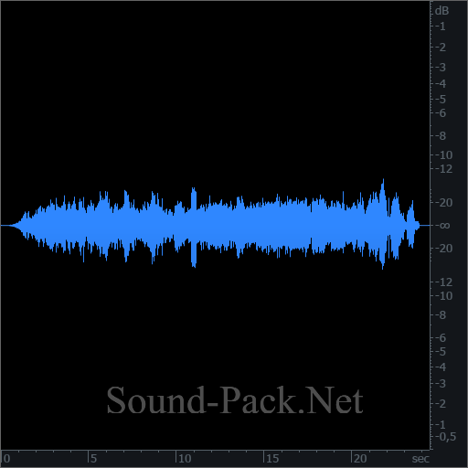 waveform