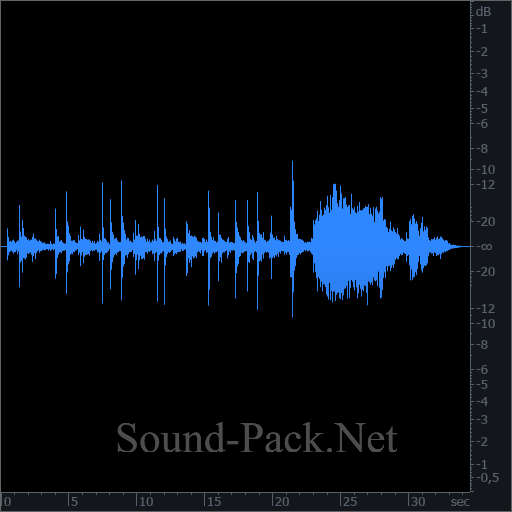 waveform