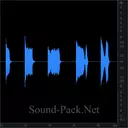 Спорт: свист судейского свистка (сборка)