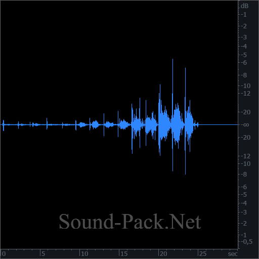 waveform