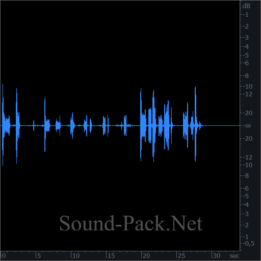 waveform