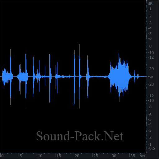 waveform