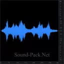 Гонки Формула-5000: проезд болидов