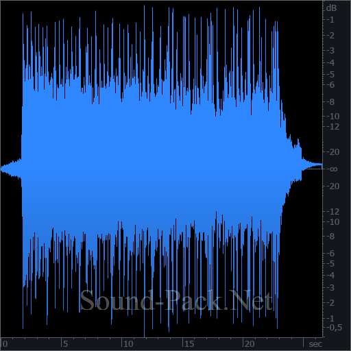 waveform