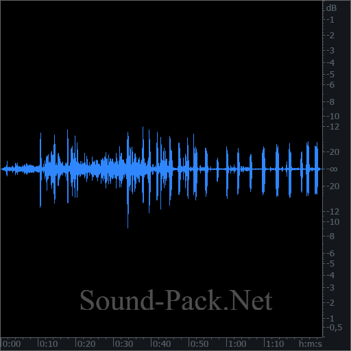 waveform