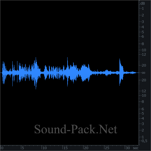 waveform