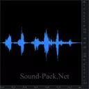 Морская свинка (короткий)