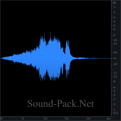 waveform