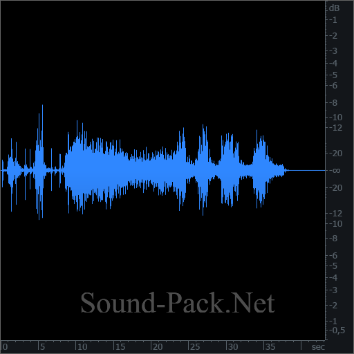 waveform