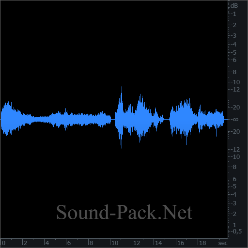 waveform