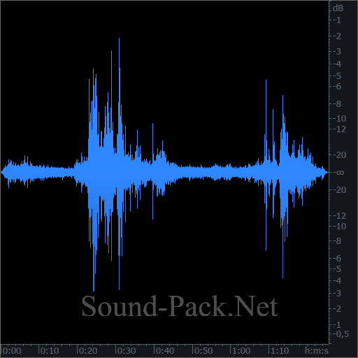 waveform