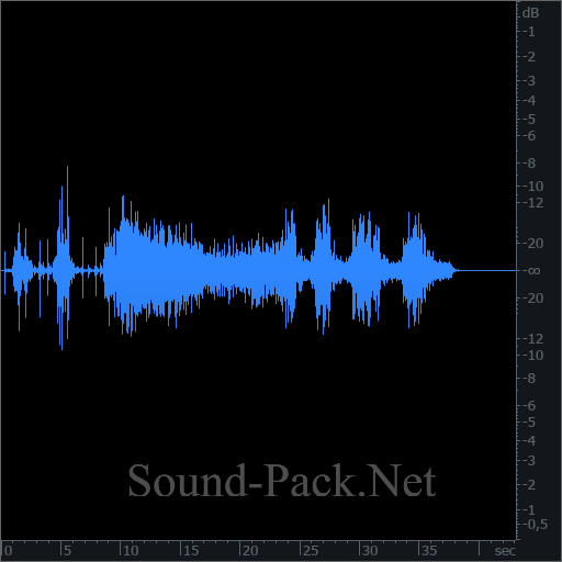 waveform