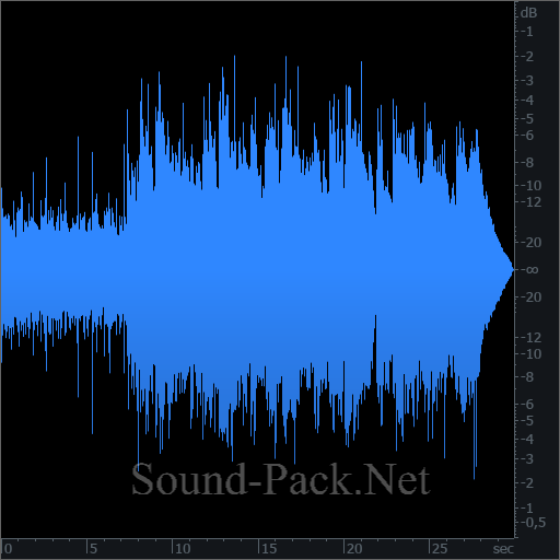 waveform