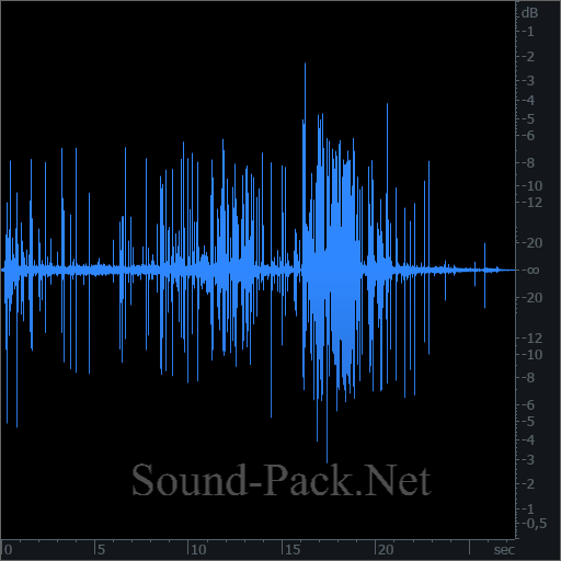 waveform